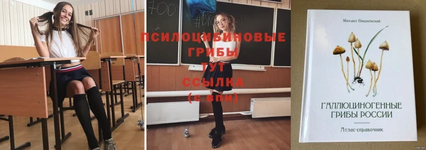 мет Липки
