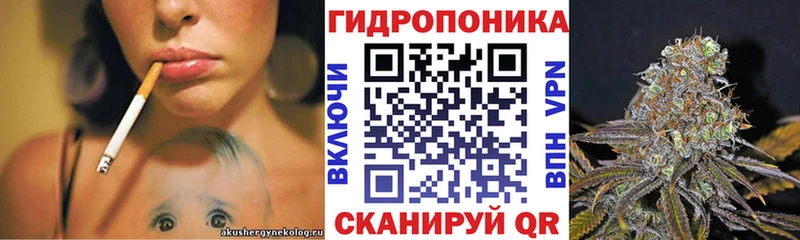 Купить  Кольчугино  Бошки Шишки LSD WEED 